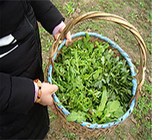 特色餐飲 特色餐飲